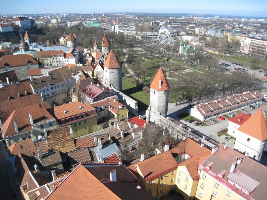 IMG_8374.jpg picture by andrew1203antm