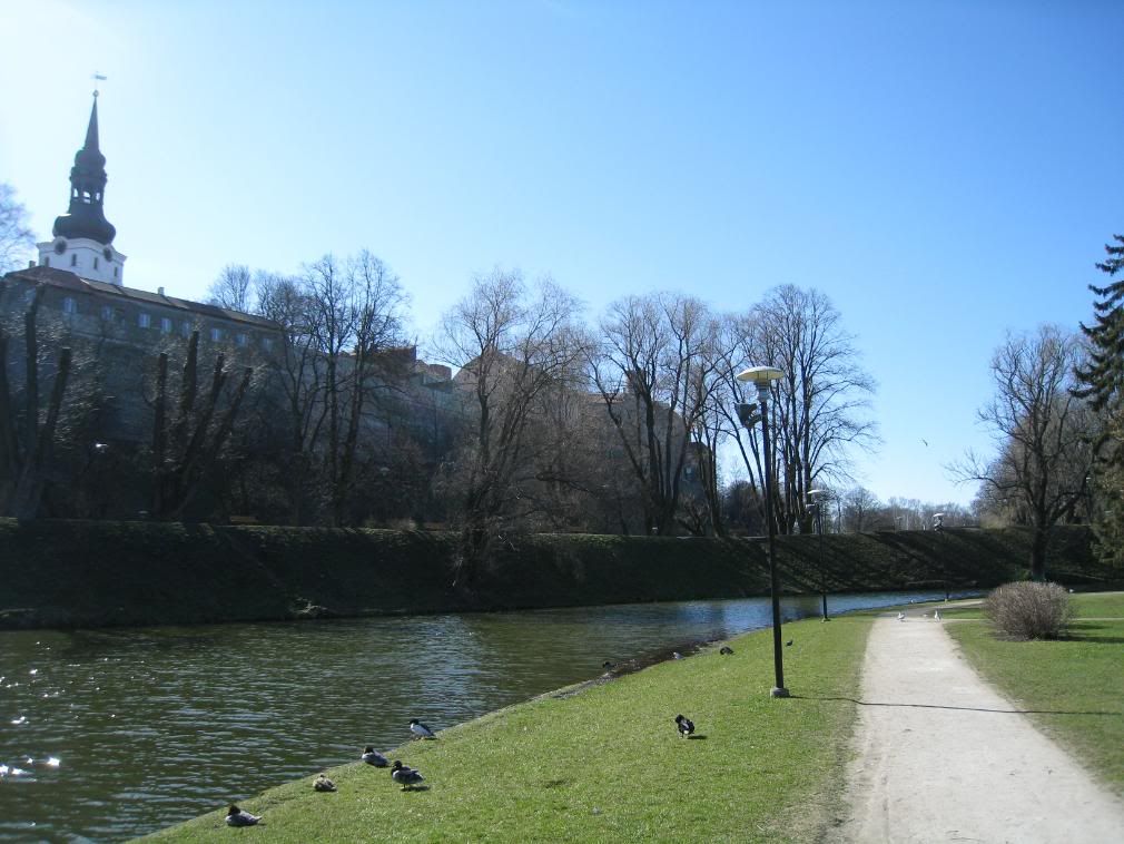 IMG_8822.jpg picture by andrew1203antm