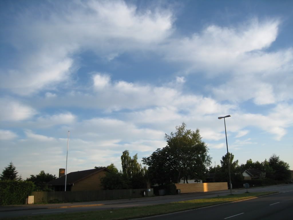 IMG_9714.jpg picture by andrew1203antm