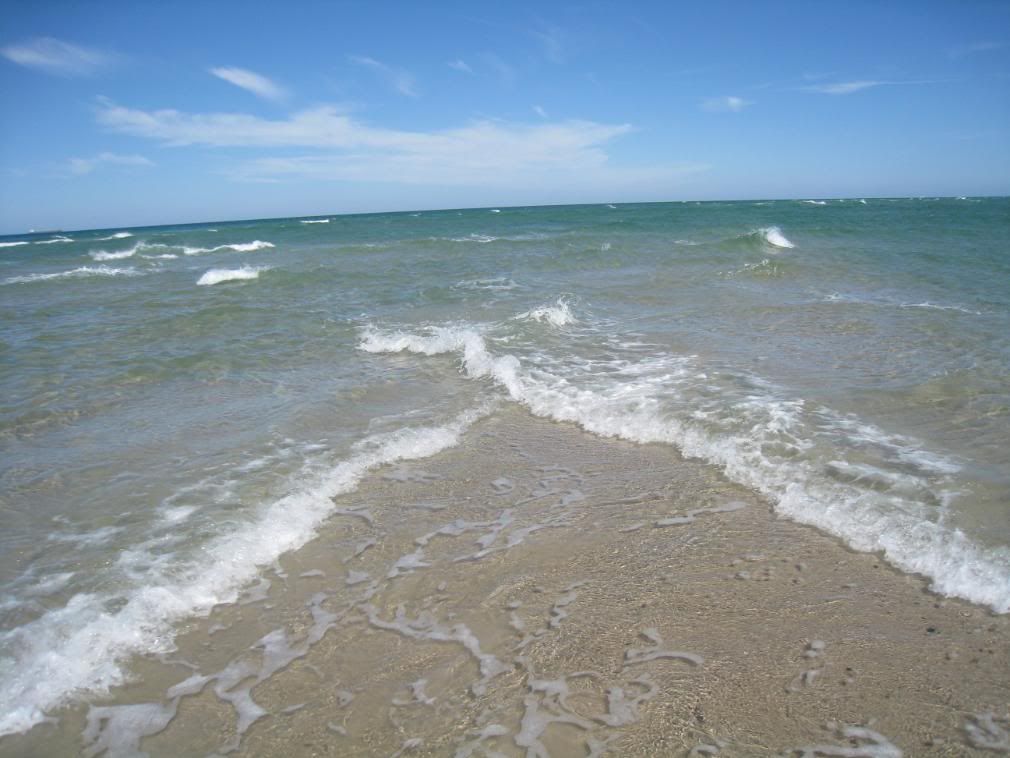 IMG_0231.jpg picture by andrew1203antm