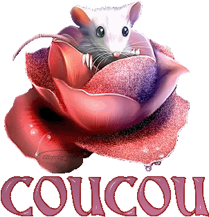 coucou1.gif coucou image by asturie