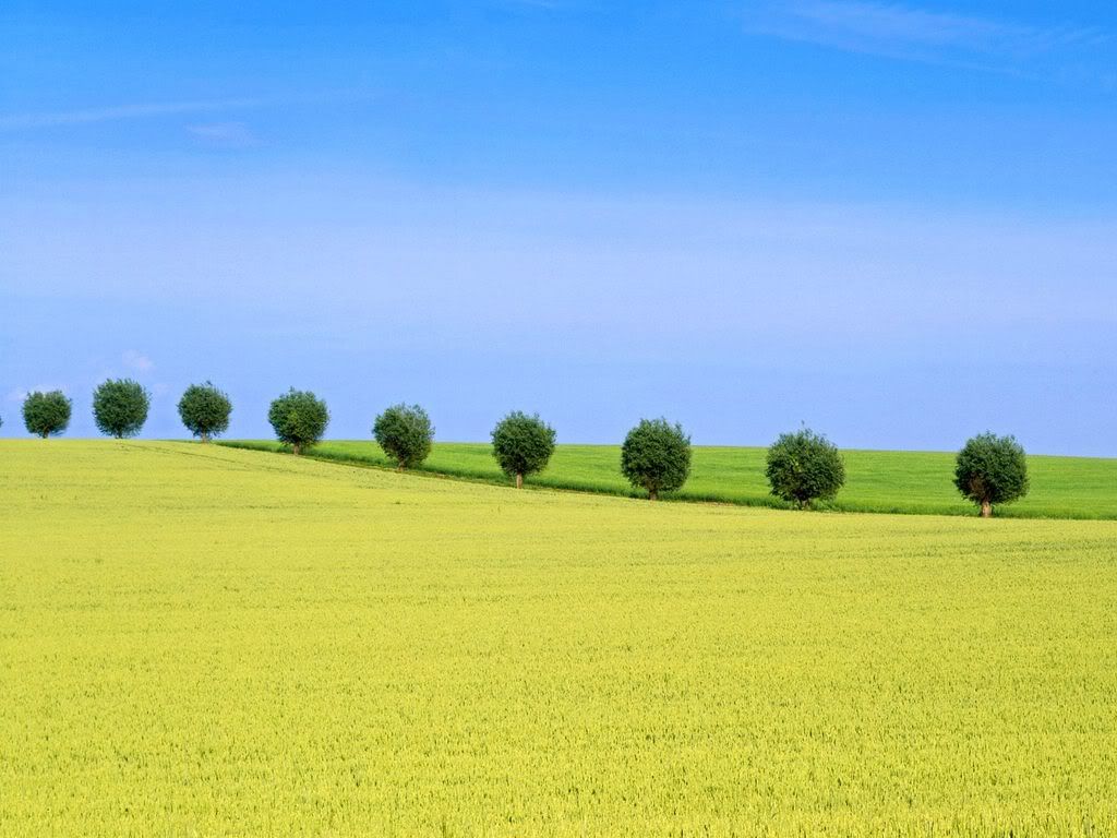 NaturalDivideSkaneSweden.jpg
