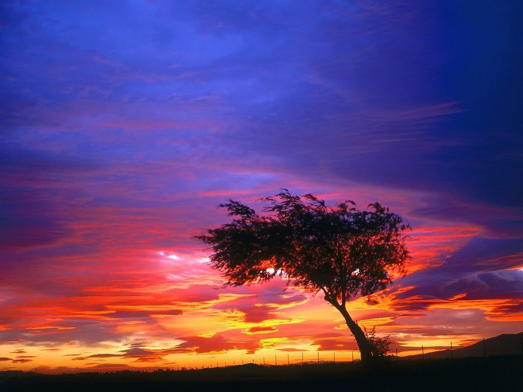 SunrisePalmdaleCalifornia.jpg