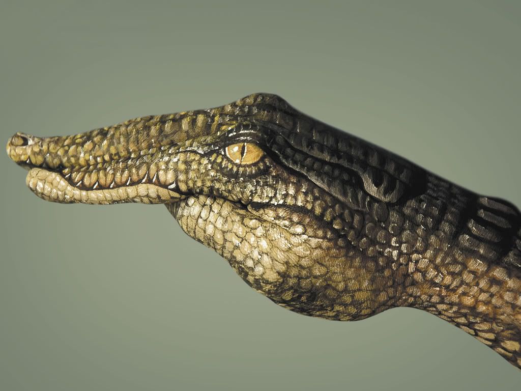 Crocodile.jpg