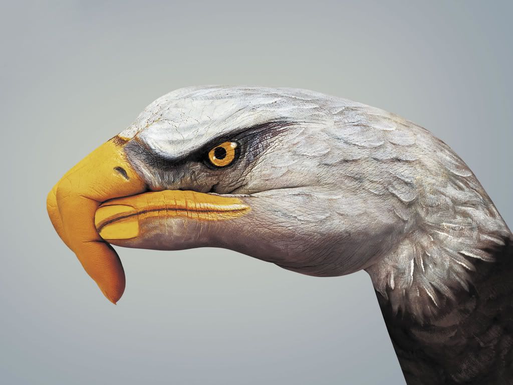 Eagle.jpg