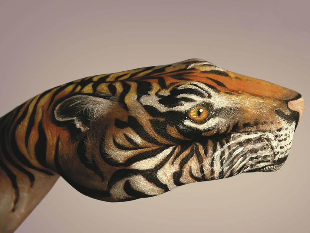 Tiger.jpg