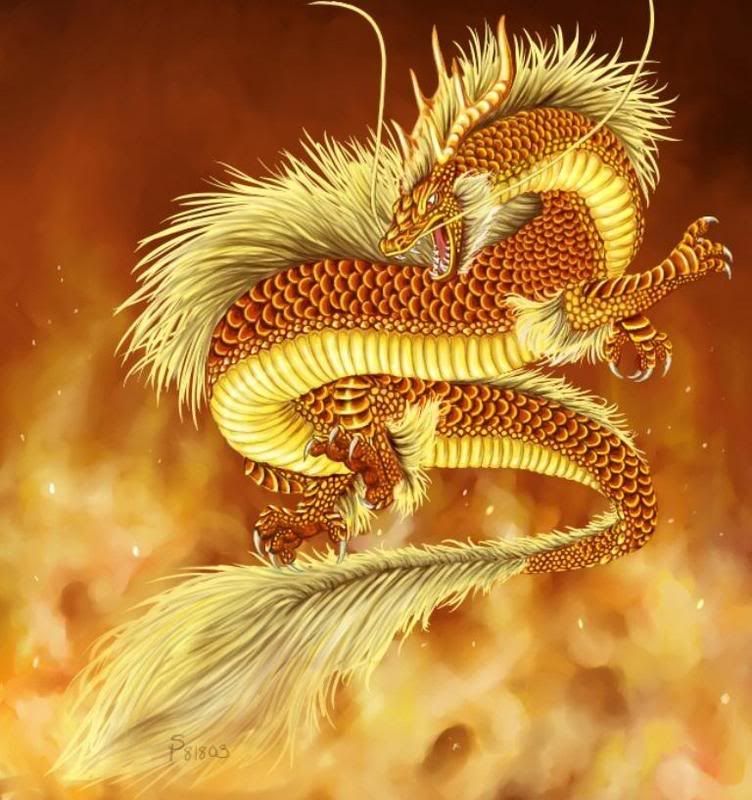 Fantasy-dragongoldfire.jpg