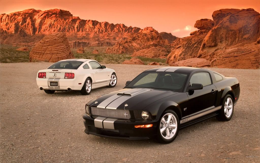 Ford_Mustang_319_1920x1200.jpg
