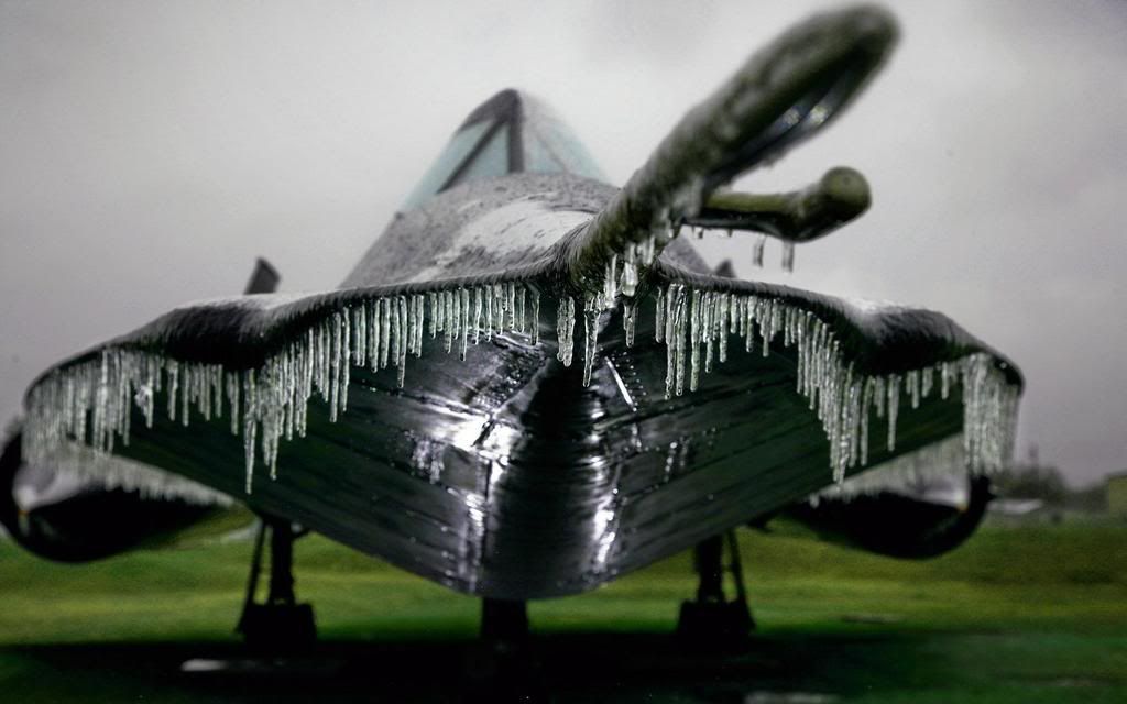 ws_Frozen_Blackbird_1680x1050.jpg