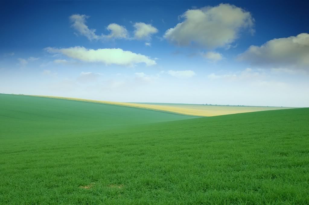 ws_Green_Field_1600x1200.jpg