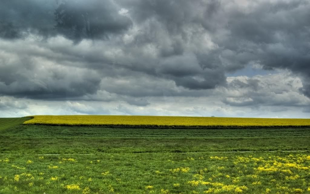 ws_Landschaft_1680x1050.jpg