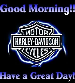Harley Davidson Icon Pictures, Images and Photos