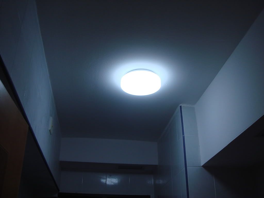 commontoiletlight.jpg