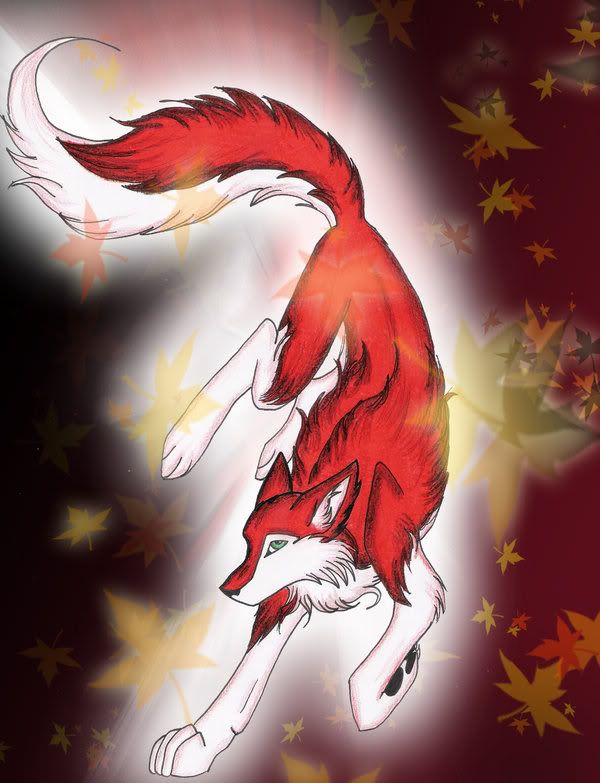 Red_Wolf_by_KoriCristy.jpg