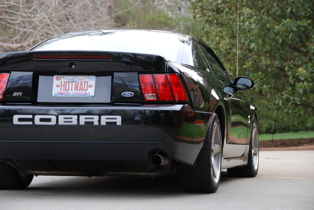 Cool License Plate Names For Fast Cars