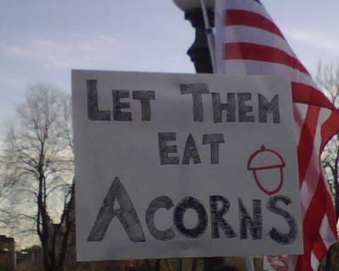 TEA-eat-acorns