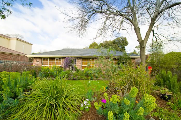 IMAGE: http://i269.photobucket.com/albums/jj64/liquidkiwi/APAD/326V4657-2.jpg