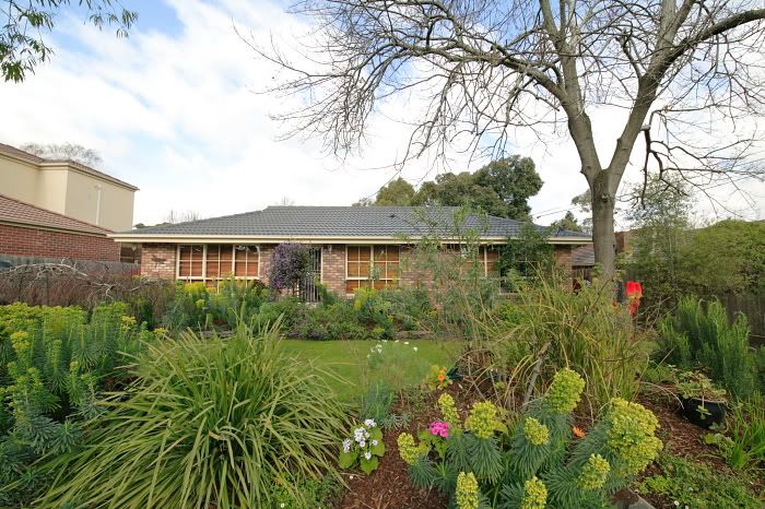 IMAGE: http://i269.photobucket.com/albums/jj64/liquidkiwi/APAD/326V4657.jpg