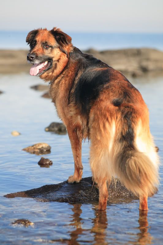 IMAGE: http://i269.photobucket.com/albums/jj64/liquidkiwi/Nachos.jpg