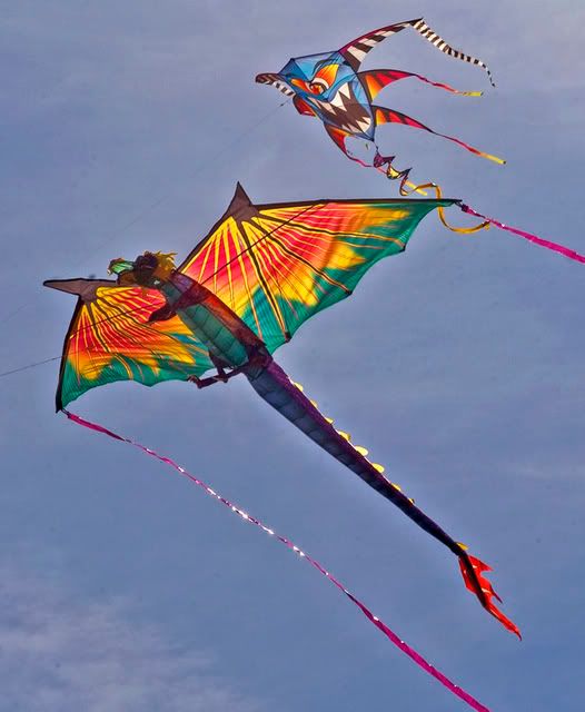 http://i269.photobucket.com/albums/jj66/NavyPhoto/Kites.jpg