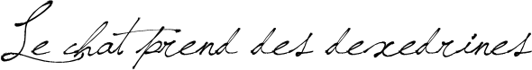 Le Chat Prend des Dexedrines