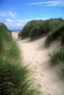 ((The path )))))))))))) ty