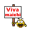 Viva maichi
