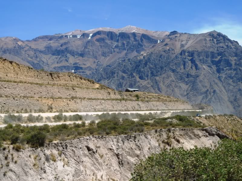 L1020393.jpg