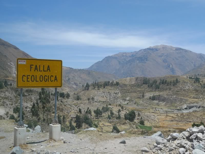 L1020410.jpg