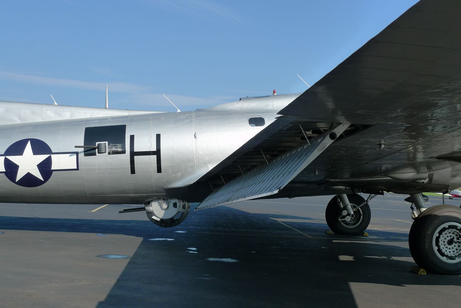 L1020753.jpg