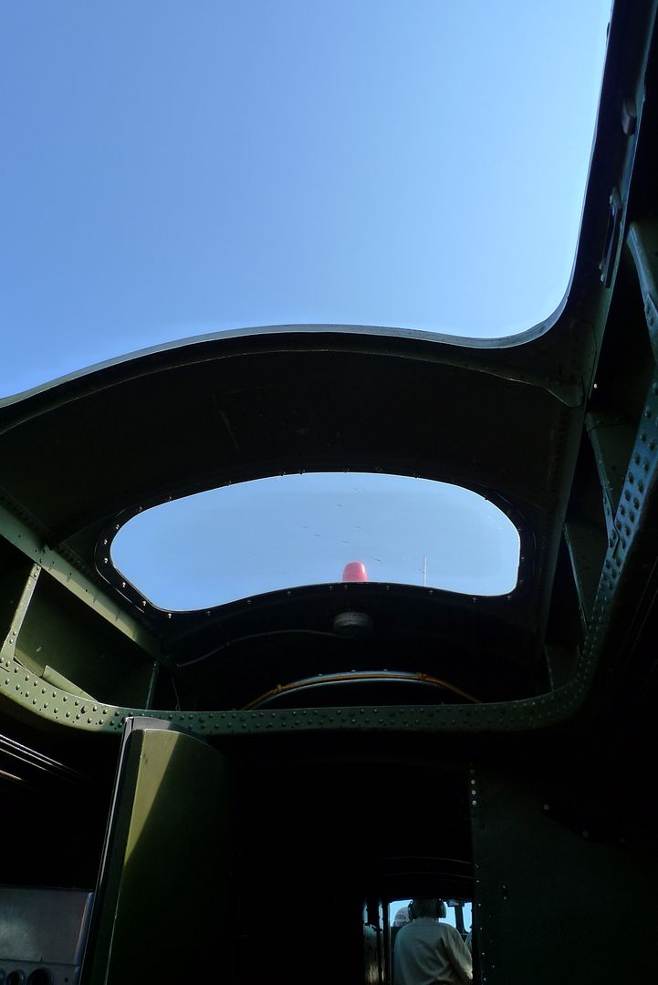 L1020783.jpg