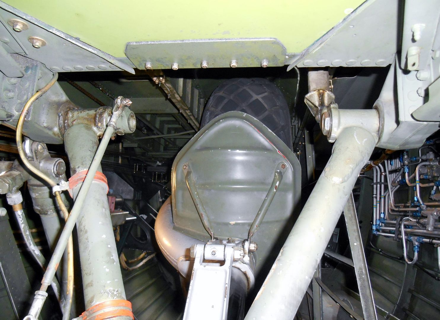DSCN0738_zpscyzzgmp2.jpg