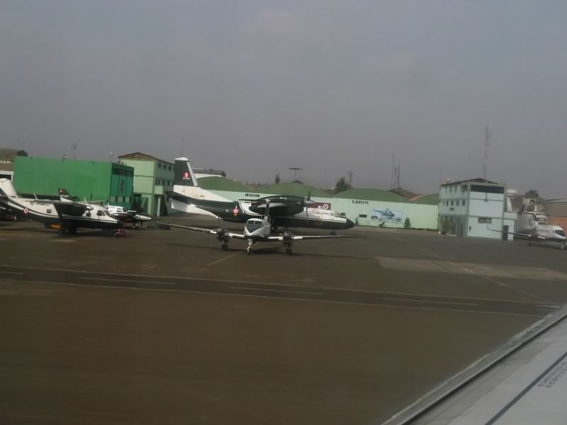 L1020200.jpg