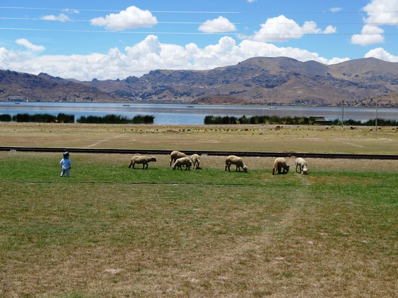 L1020615.jpg