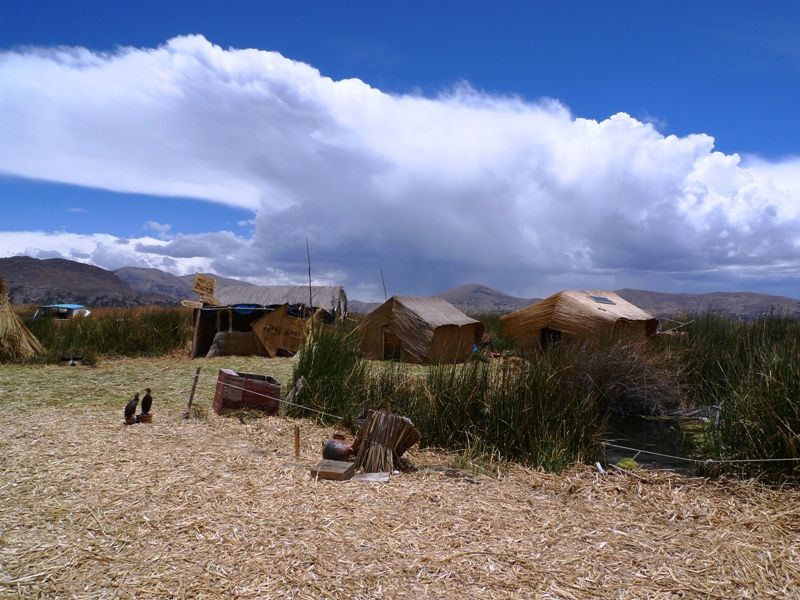 L1020627.jpg