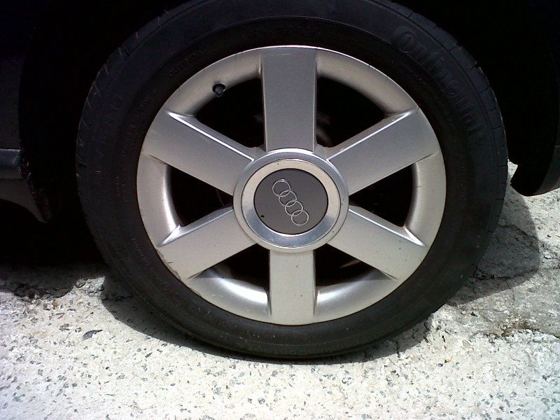 IMG-20120317-00016.jpg