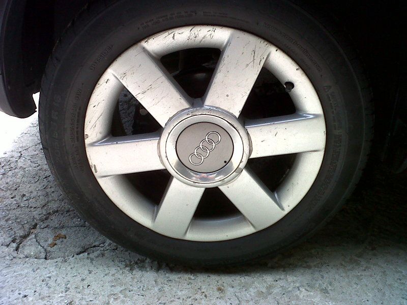 IMG-20120317-00017.jpg