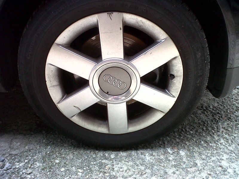 IMG-20120317-00018.jpg