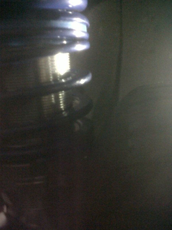 IMG-20120622-00183.jpg