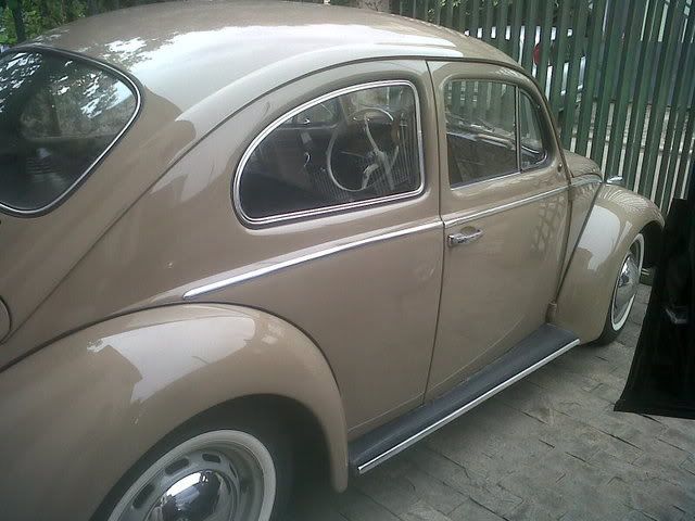 IMG00446-20120220-0905.jpg
