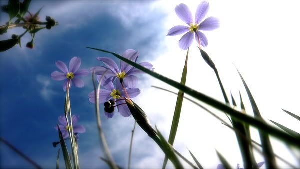 Sunny Days Edited by Smashing Squas