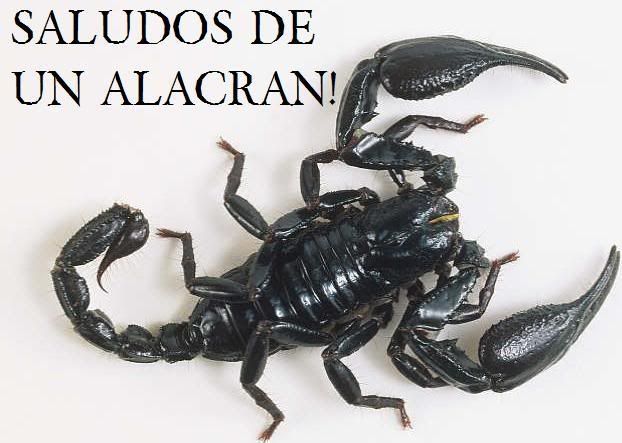 http://i269.photobucket.com/albums/jj72/1MAZIZO2/ALACRAN2.jpg