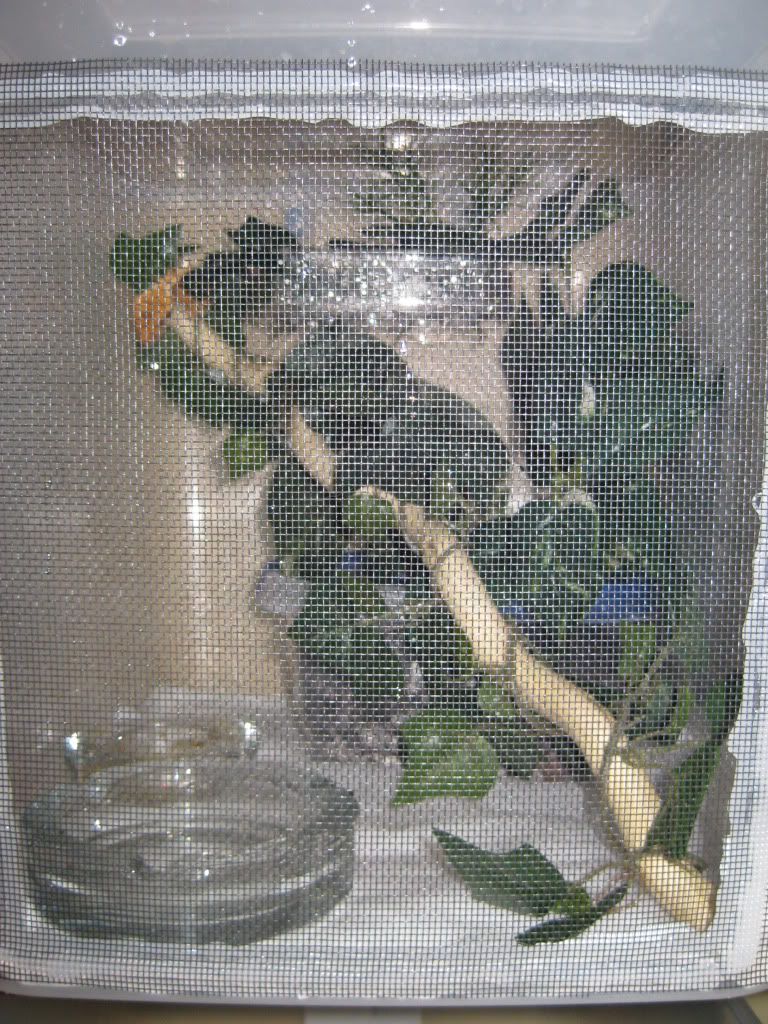 IMG_6055.jpg