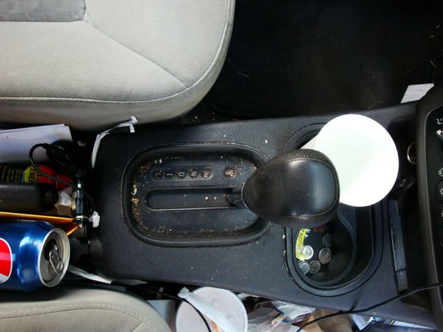 DSC02185.jpg