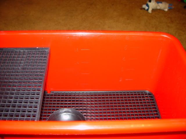 DSC03444.jpg