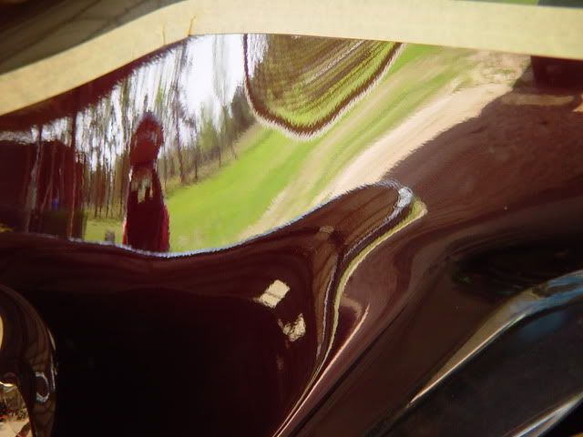 DSC03953.jpg