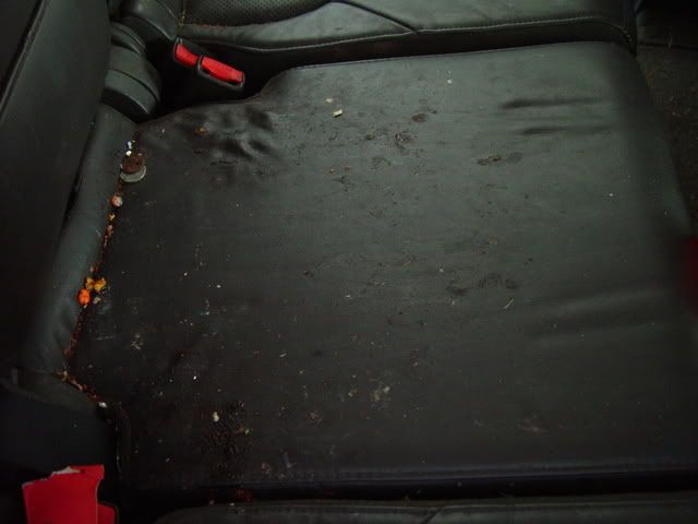 DSC04518.jpg