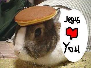 bunny. Pictures, Images and Photos