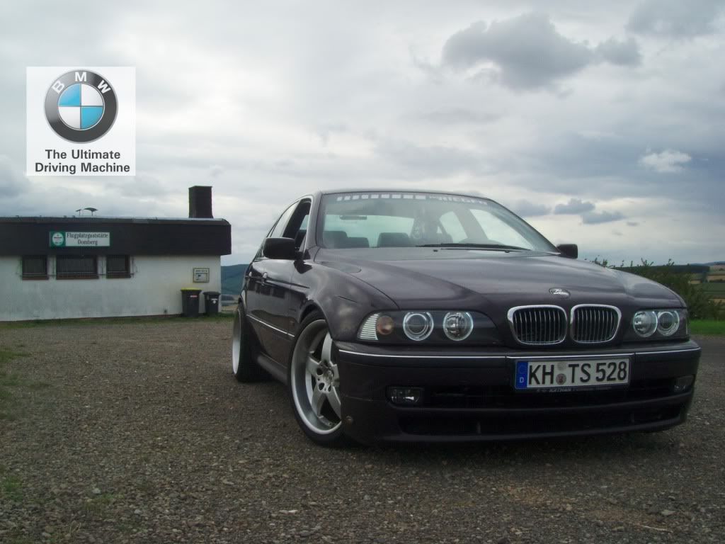 Meine Lady mit Hamann HM2 19" - 5er BMW - E39