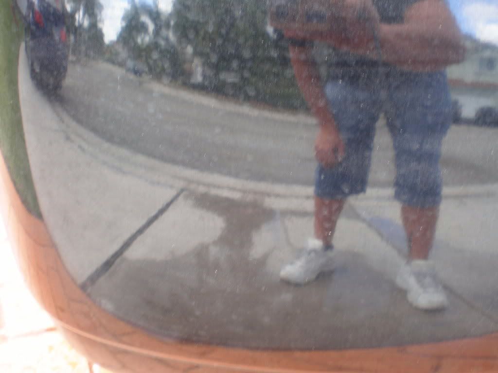P2010007.jpg